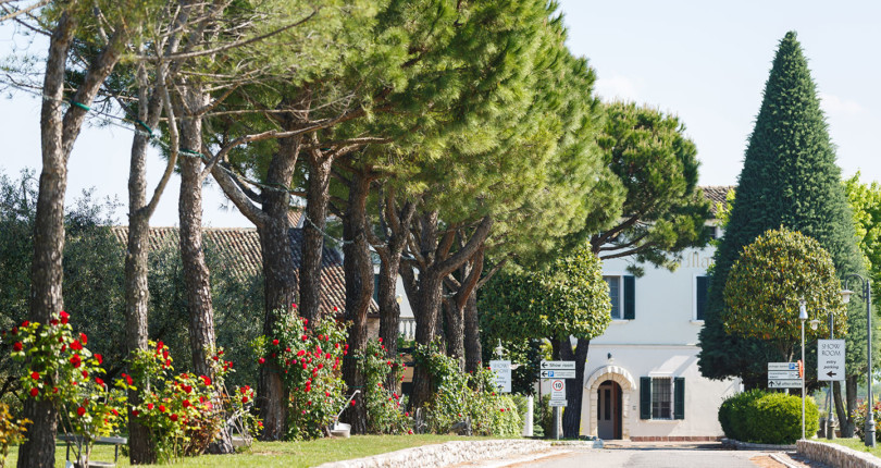 Immobilier Suisse