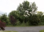 fullsizeoutput_633