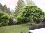 fullsizeoutput_638