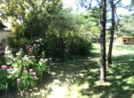 10 IMG_6383