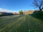 PHOTO-3